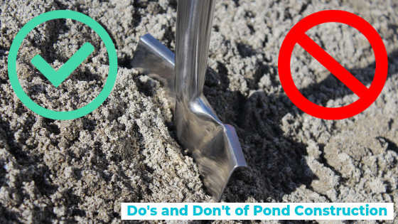 pond construction