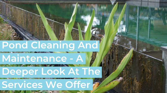 Pond Construction, Installation, Cleaning and Maintenance for the Greater Melbourne area.