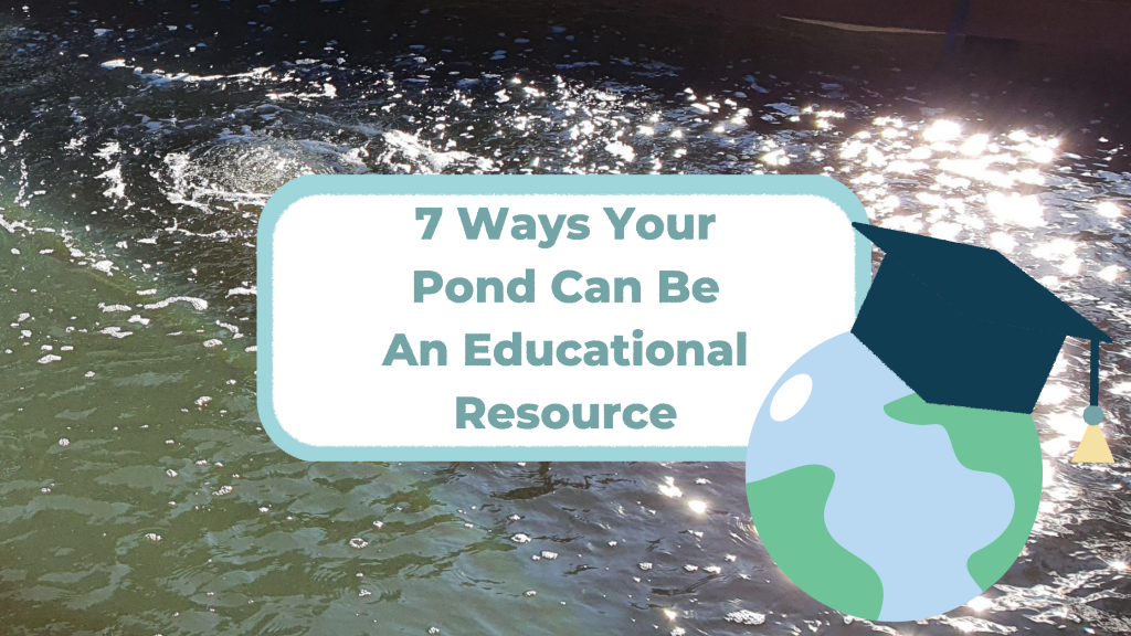 7 Educational Benefits Of Backyard Fish Ponds Love My Pond