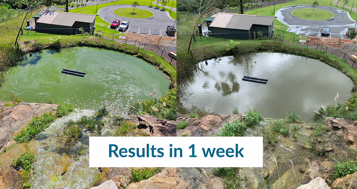 Biostim PhosFix (20L)—Eco-Friendly Phosphorus Remover & Water Clarifier - Image 2