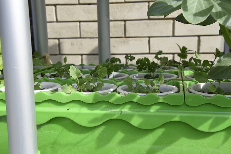 GrowEasy-Aquaponics-trays-1.jpg