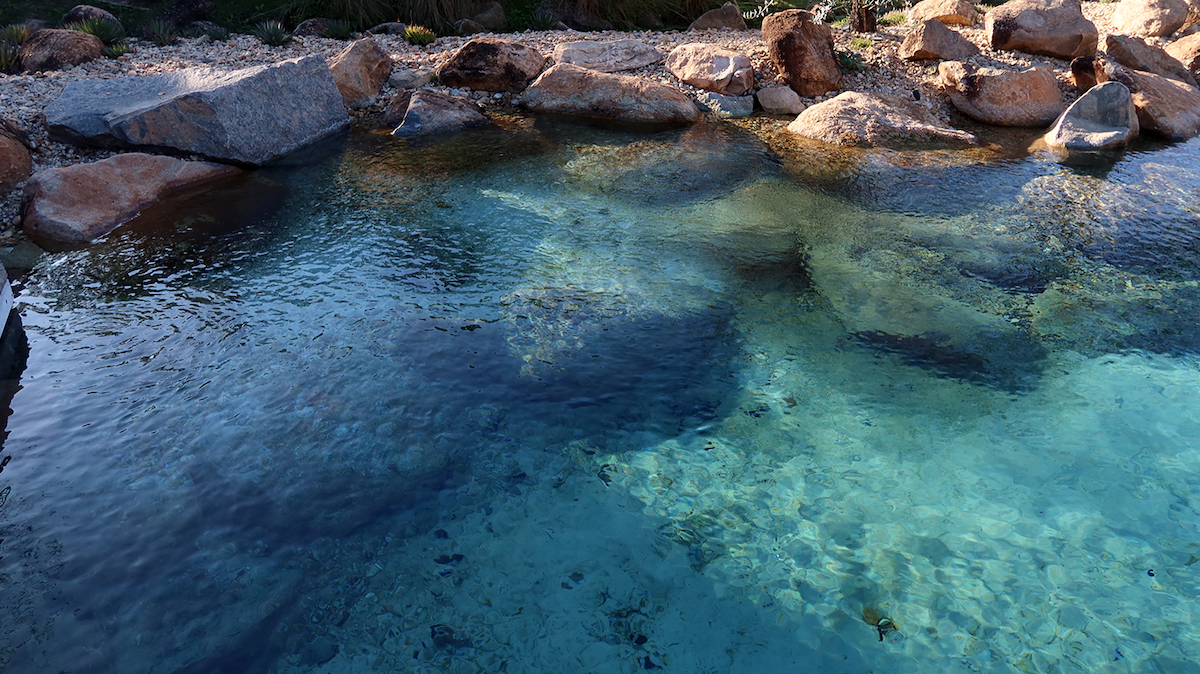 Large swimming recreational pond natural swimming crystal clear Large swimming recreational pond natural swimming crystal clear
