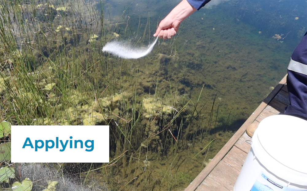algae-lift-2-applying_1.png