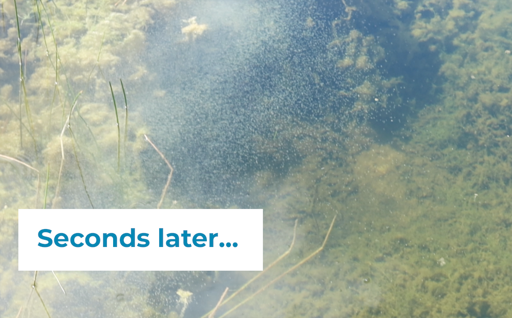 algae-lift-3-seconds-later_1.png