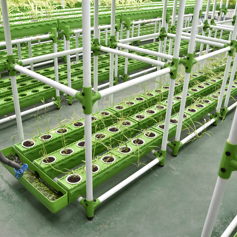 aquaponics-kit-scale-able-four-new1.png