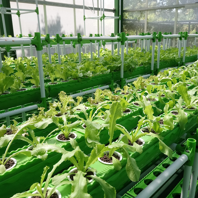 aquaponics-kit-scale-able-three-new1.png