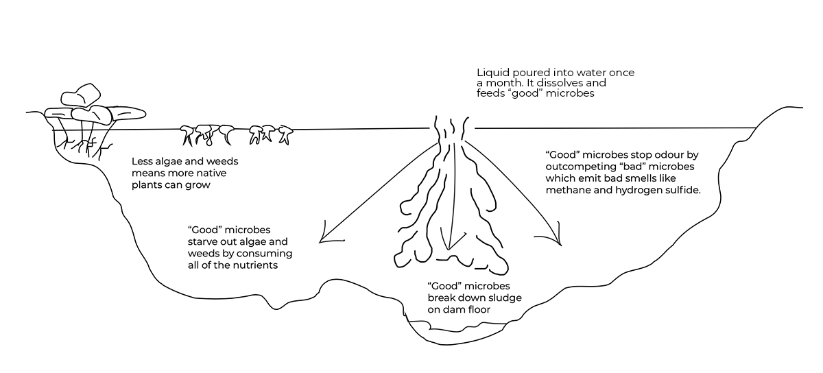 biostim-how-it-works-liquid.png