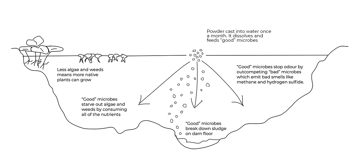 biostim-how-it-works-powder.png