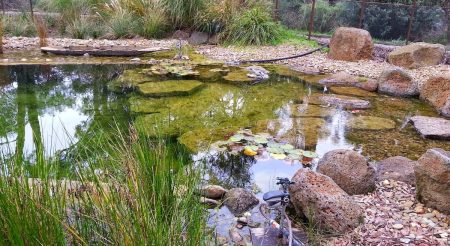 Rollgum-EPDM-liner-for-ponds-and-dams-2